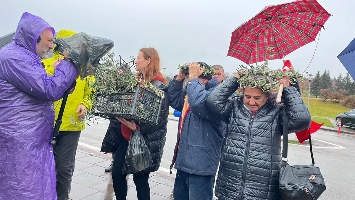 Tbmmde zeytinlik teklifine tepkia - öne çıkan - haberton