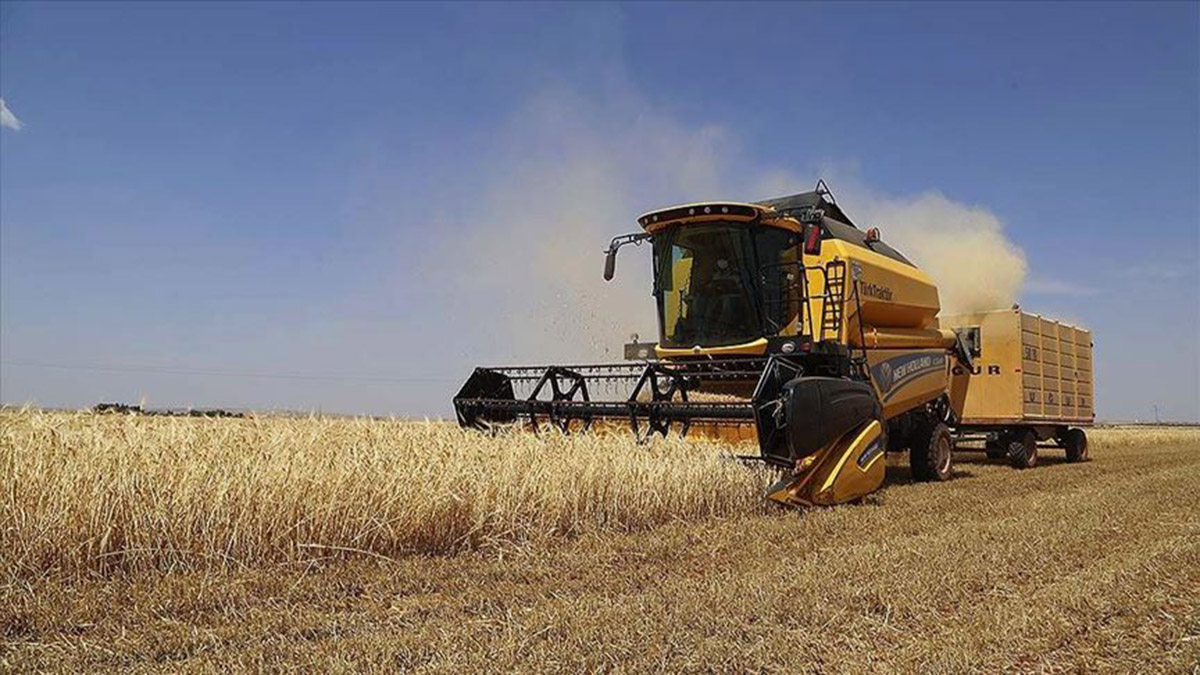 Tarımsal girdi fiyat endeksi ekimde arttı