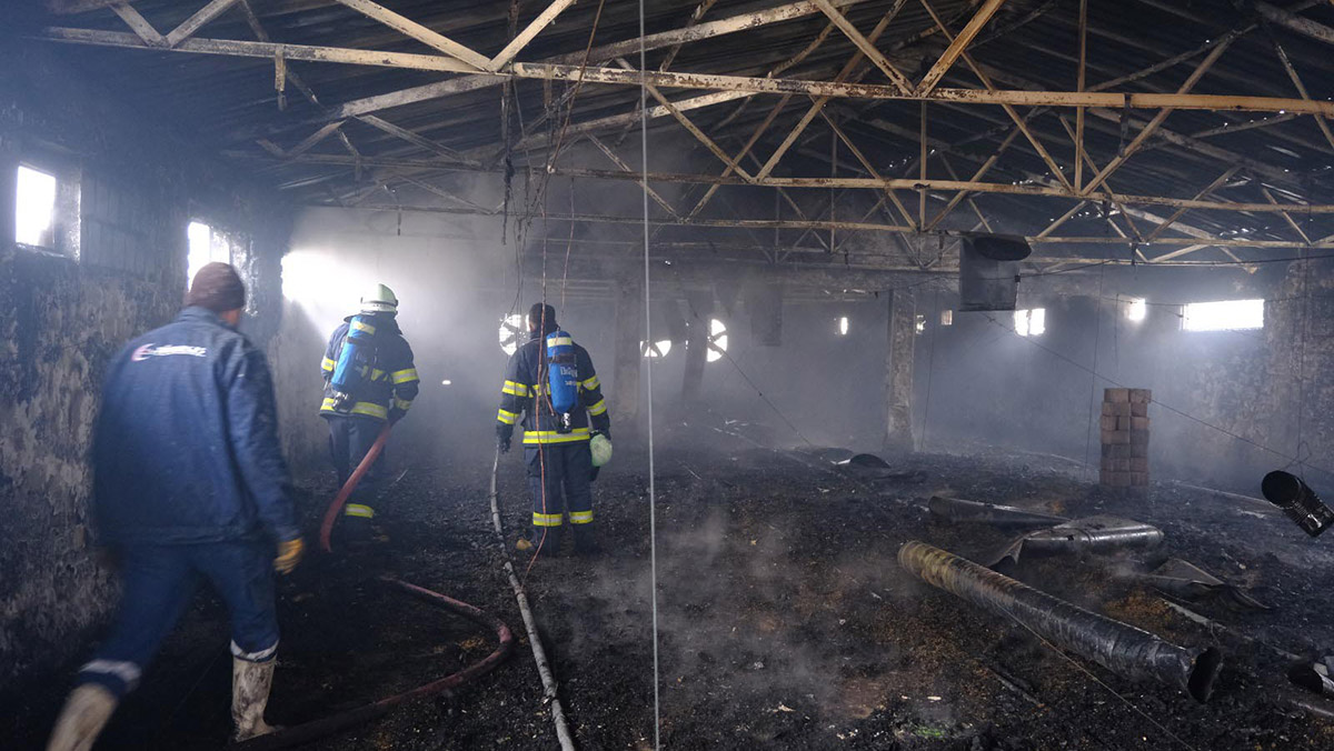 Tavuk çiftliğinde yangın; 23 bin civciv öldü