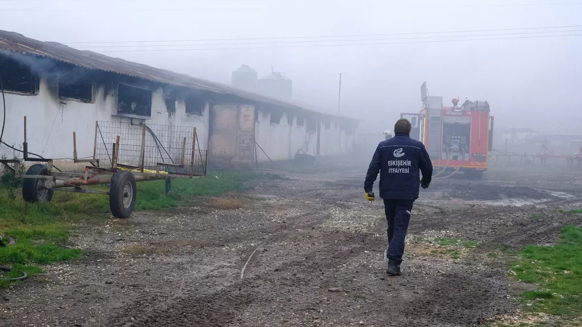 Tavuk çiftliğinde yangın; 23 bin civciv öldü