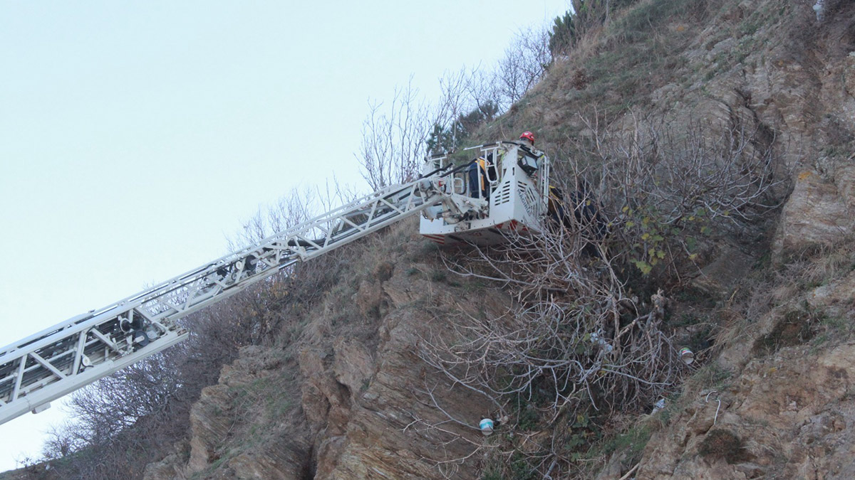 Tepeden uçuruma yuvarlanan İrem, ağaca takıldı