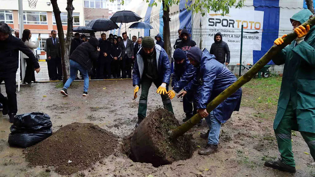 Teror saldirisinda olen yagmurun anisina fidan dikildiz - yaşam - haberton