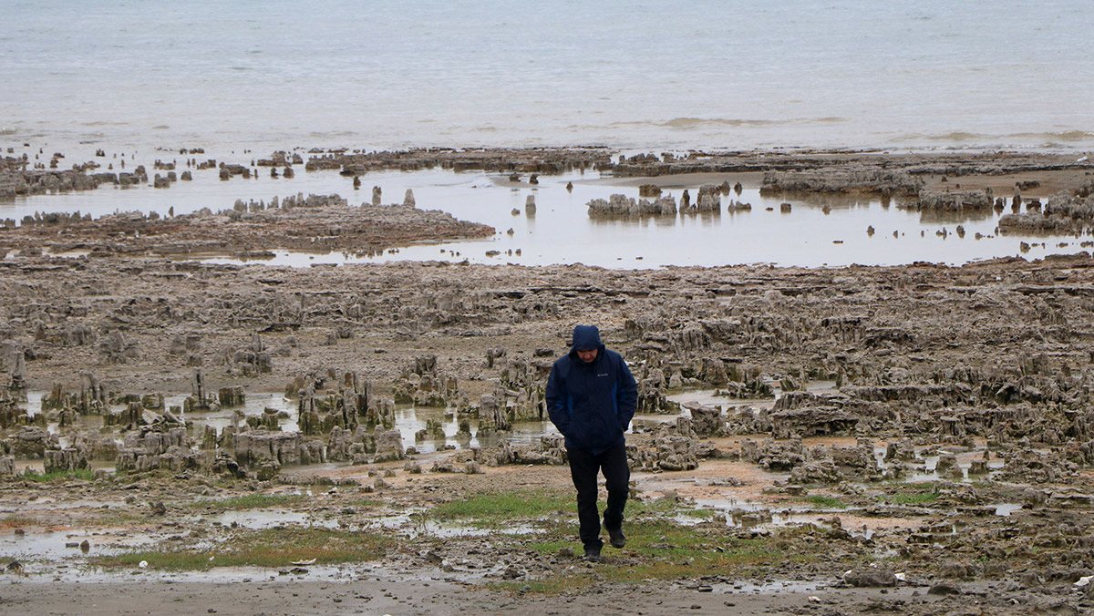 Van Gölü'nde'mikrobiyalit tarla' ortaya çıktı