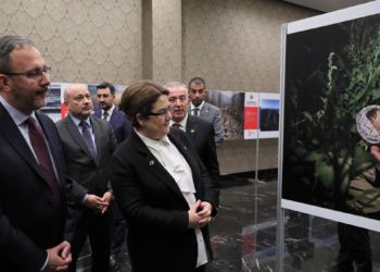 Yılın basın fotoğrafları seçildi