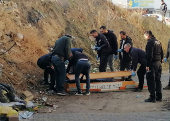 Yol kenarında ölü bulundu