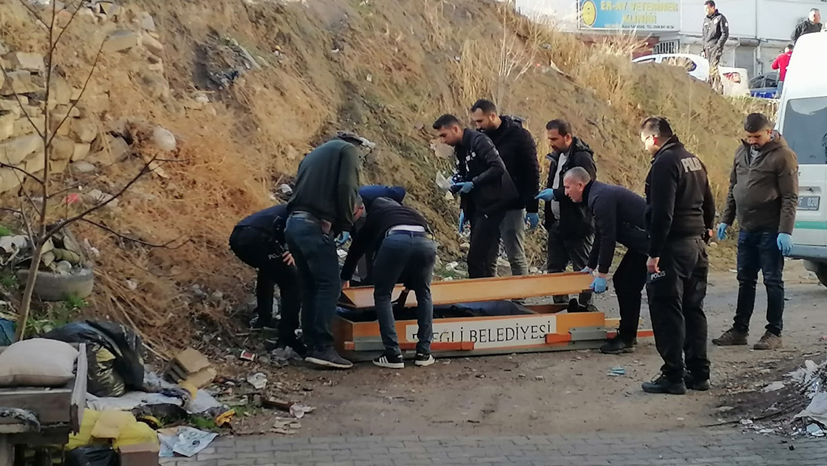 Yol kenarında ölü bulundu