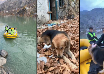 Yusufeli'nde mahsur kalan köpek botla kurtarıldı
