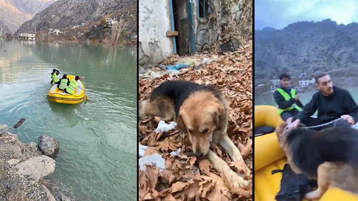 Yusufeli'nde mahsur kalan köpek botla kurtarıldı