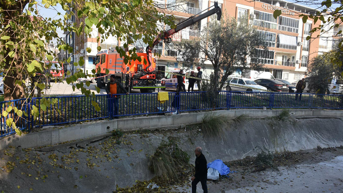 Zeytin toplamak için çıktığı ağaçtan düşüp öldü