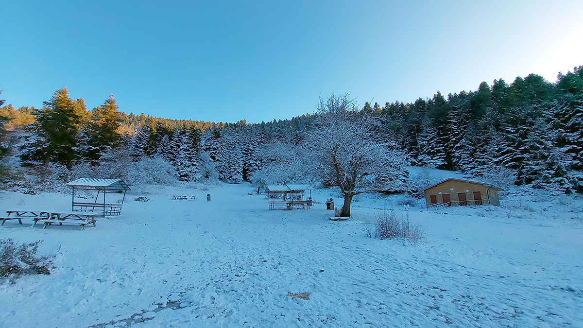 Abant Gölü Milli Parkı kar yağışıyla beyaza büründü
