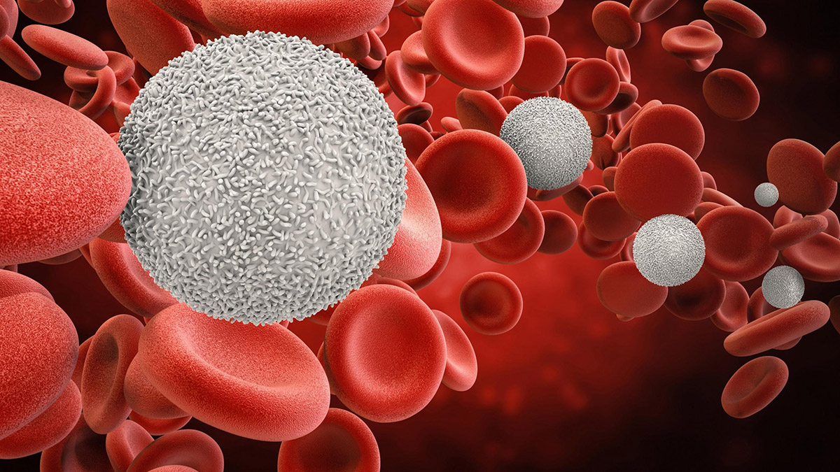 Anemi hastalığı hakkında bilmediklerimiz