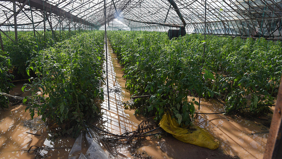 Serasını kontrole giden çiftçi kalp krizi geçirdi