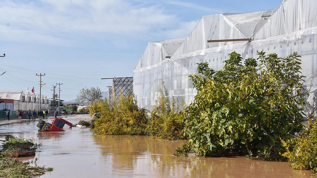 Sel felaketi sonrası seralarda ekili ürünler zarar gördü