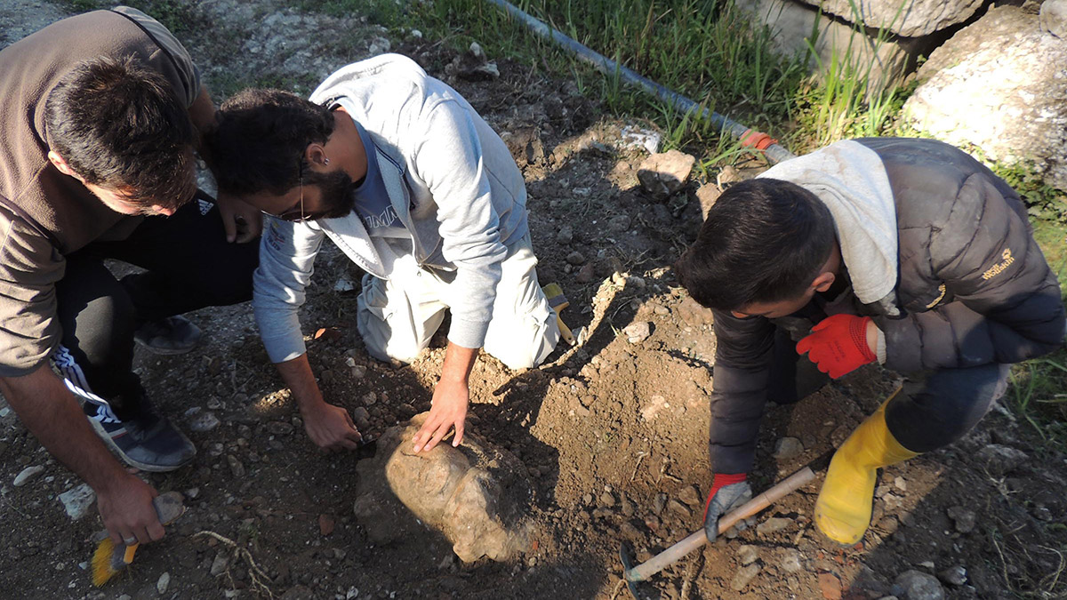 Eros, Dionysos ve Herakles'in heykel başları gün yüzüne çıkarıldı