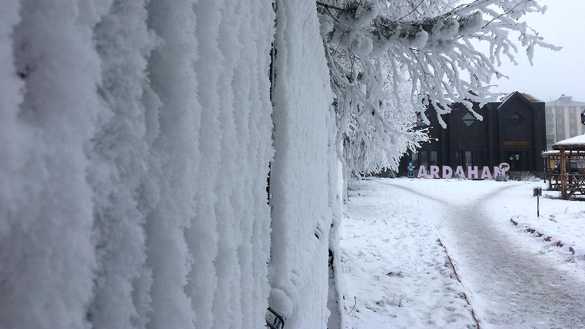 Ardahan soğuktan dondu
