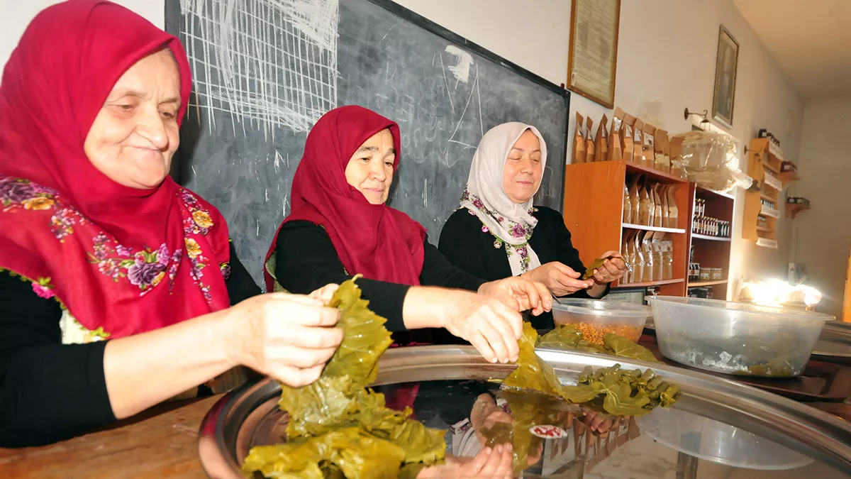 Atatürk'ün talimatı ile kurulan okul binası kooperatife dönüştü