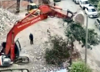 Ağacı kepçe darbeleri ile devirdi; İnşaat mühürlendi