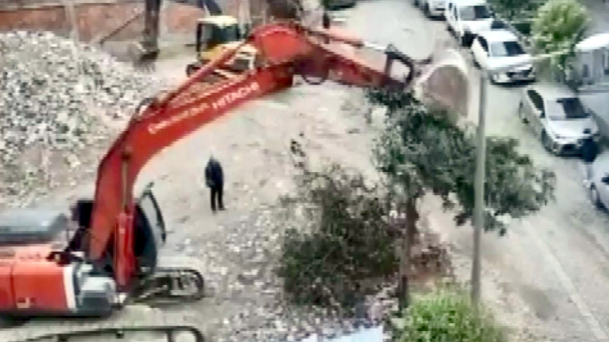 Ağacı kepçe darbeleri ile devirdi; İnşaat mühürlendi