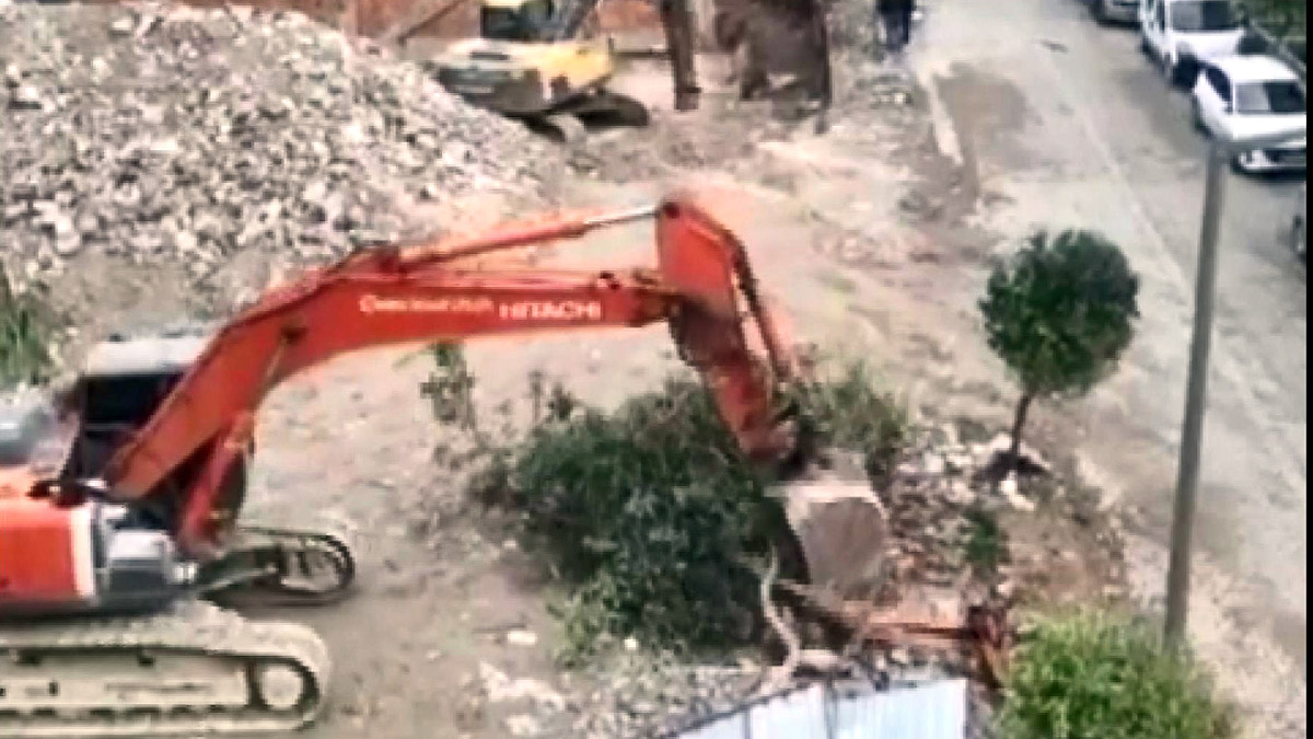 Ağacı kepçe darbeleri ile devirdi; İnşaat mühürlendi