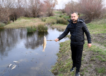Yuvalı Deresi'nde balık ölümleri sonrası inceleme yapıldı