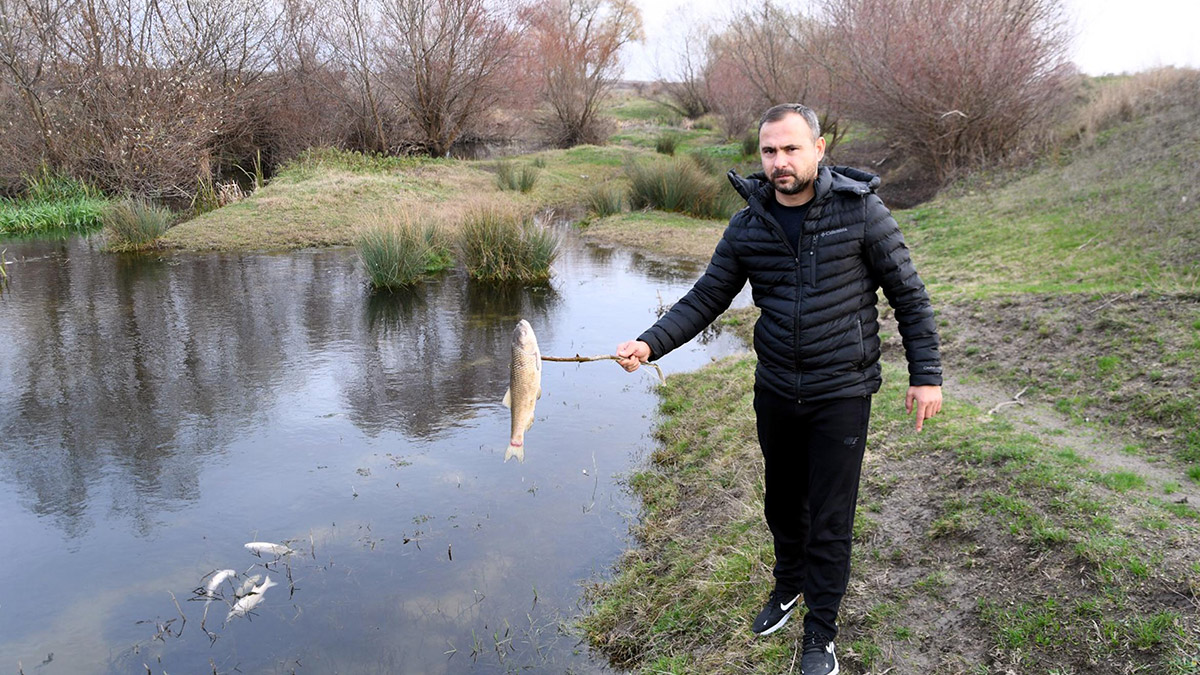 Yuvalı Deresi'nde balık ölümleri sonrası inceleme yapıldı