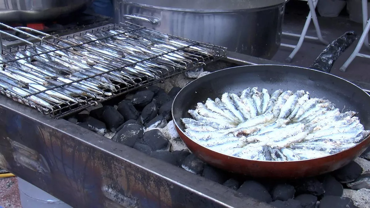 Bayrampaşa'da balık festivali'nde 3 ton hamsi dağıtıldı