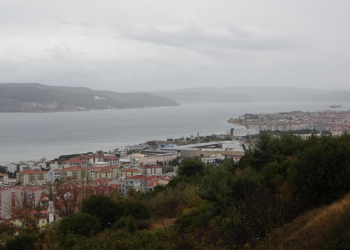 Çanakkale Boğazı'nda caretta caretta