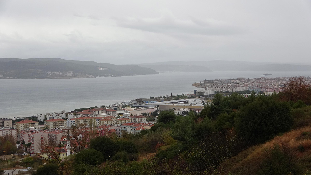 Çanakkale Boğazı'nda caretta caretta