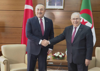 Türkiye ile Cezayir iş birliği bölge için yararlı olacak