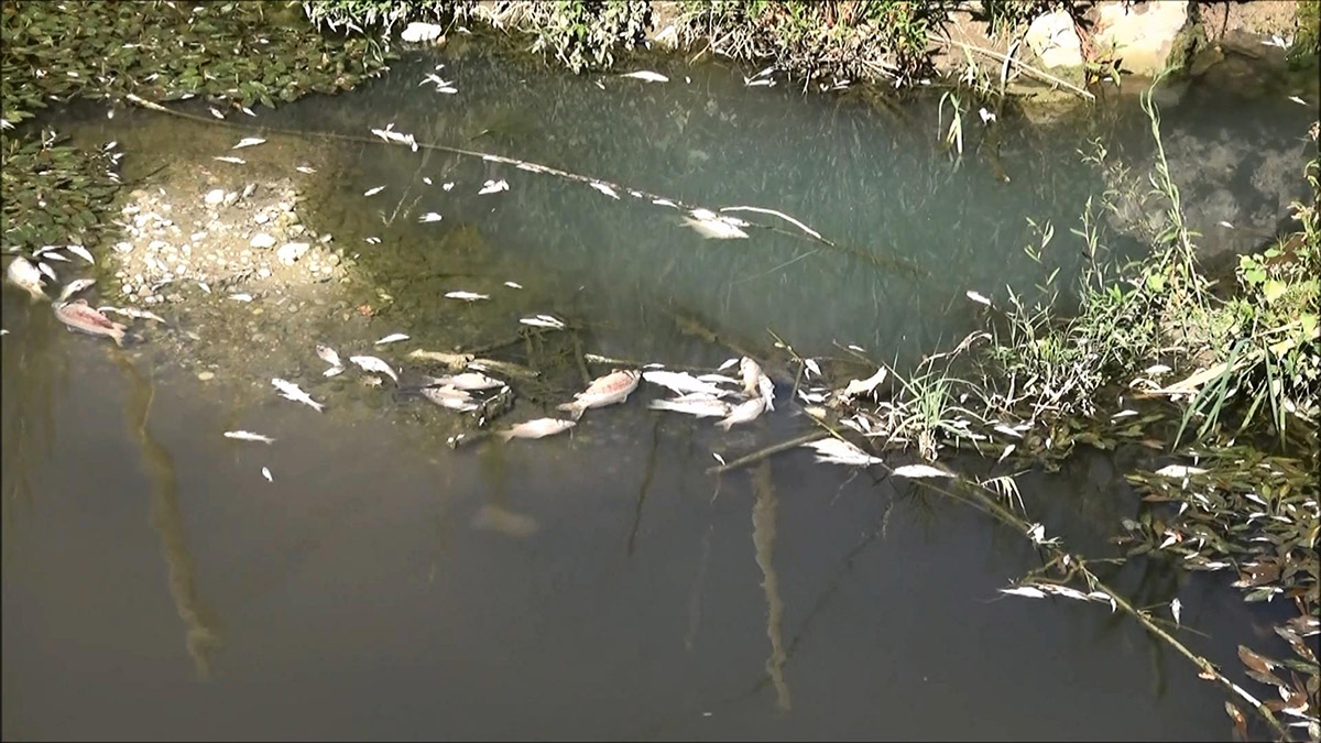 Otel müdürü 'çevreyi kasten kirletme' suçundan ceza aldı