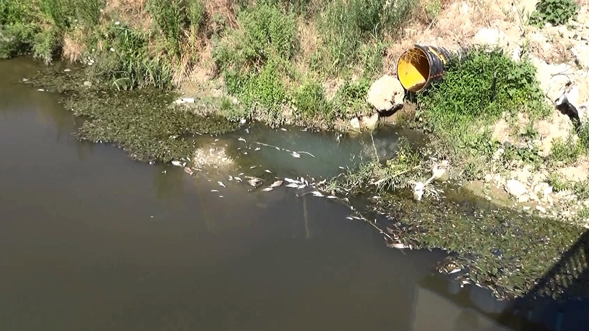 Antalya'nın Manavgat ilçesinde, 5 yıldızlı otelin yanındaki dereye kirli su bırakılmasıyla ilgili yürütülen soruşturma kapsamında, 'çevreyi kasten kirletme' suçundan yargılanan sorumlu müdür H.A.'ya, itiraz yolu açık olmak üzere, 4 yıl 2 ay hapis cezası verildi.