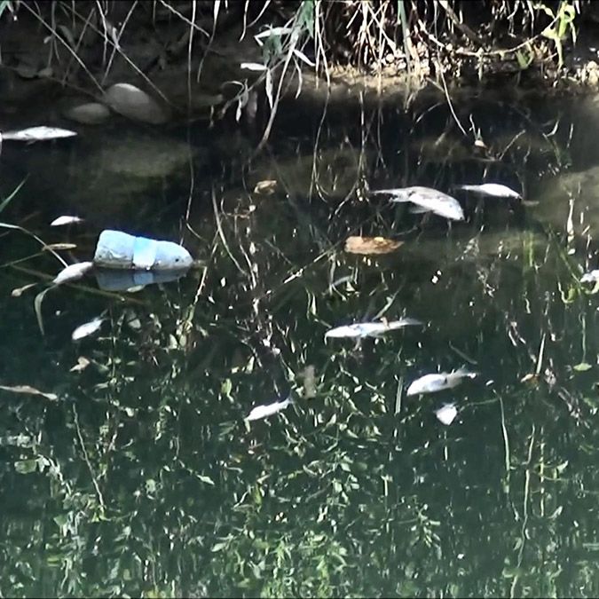 Otel müdürü 'çevreyi kasten kirletme' suçundan ceza aldı