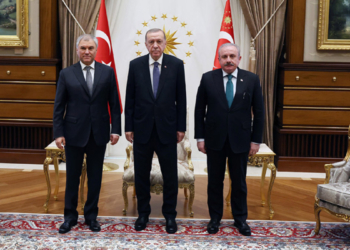 Erdoğan, Vyacheslav Volodin'i kabul etti