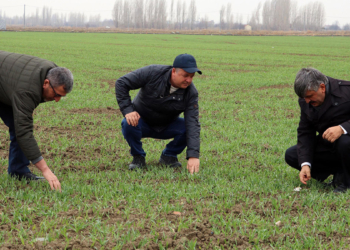 Eskişehirli çiftçilerin 'kuraklık' endişesi