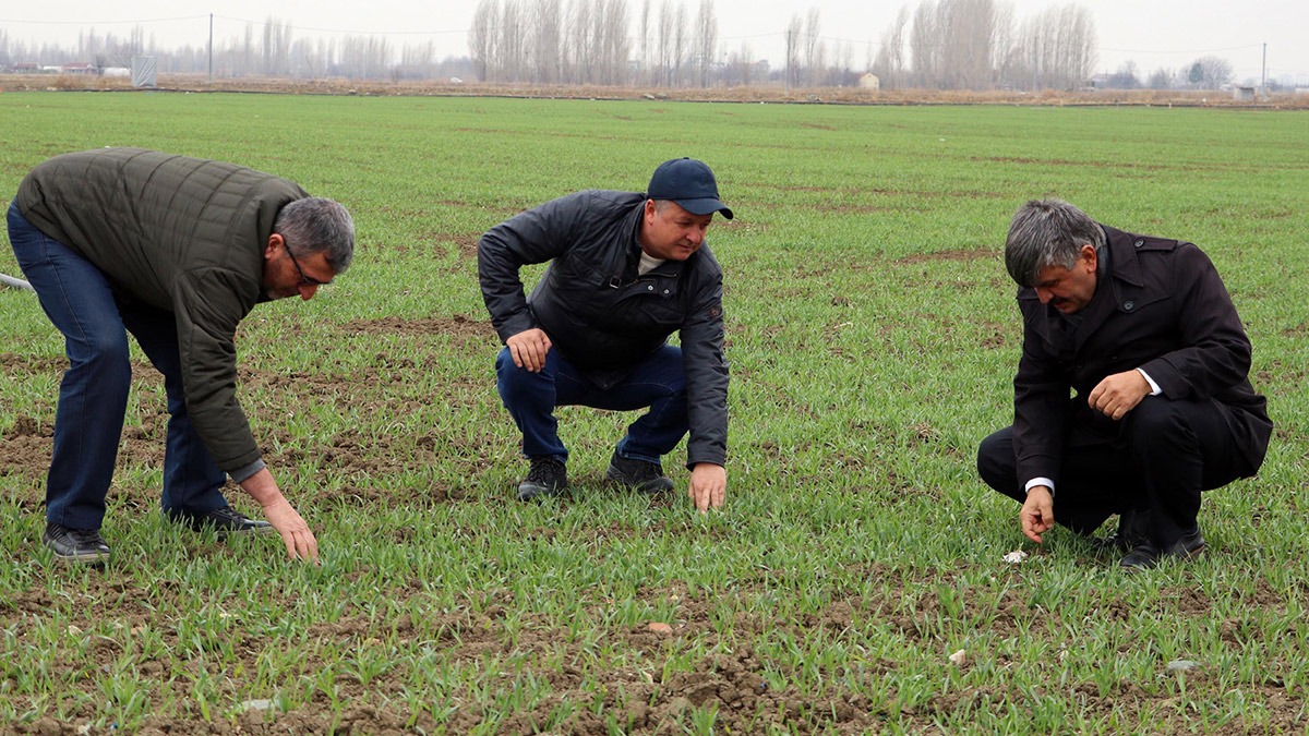 Eskişehirli çiftçilerin 'kuraklık' endişesi