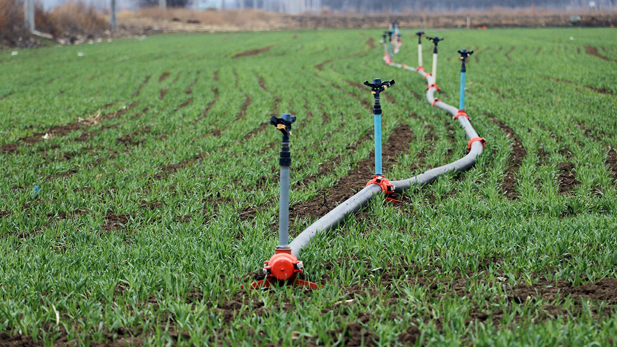 Eskişehir'de son 1 haftada metrekareye toplam 1,6 kilogram yağış düşerken, mevsim normallerinin çok altındaki yağış nedeniyle çiftçilerde kuraklık endişesi başladı.
