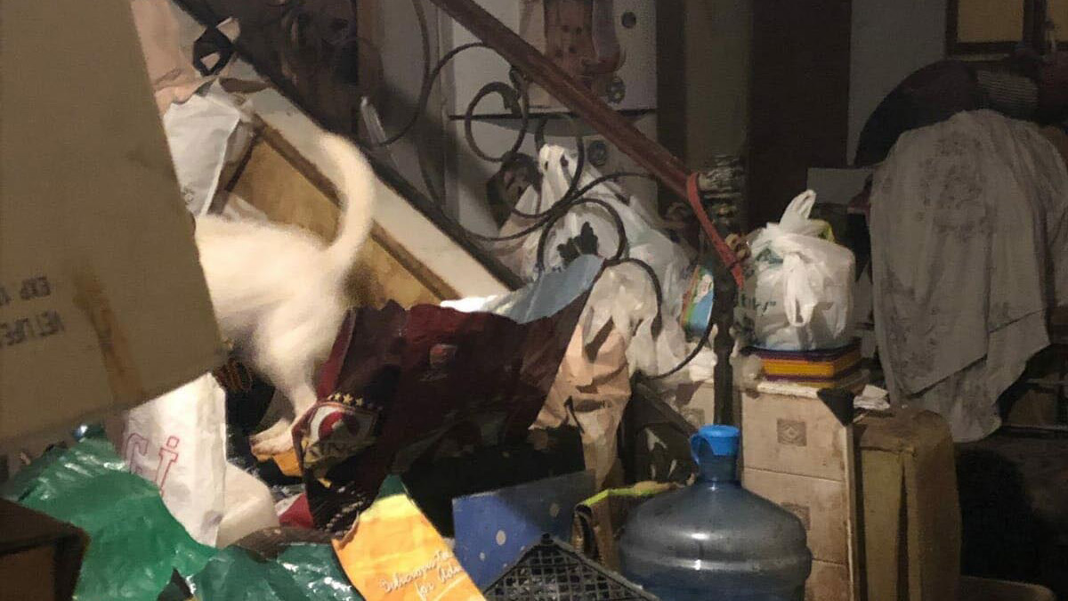 Evinde köpek ve kedi ölüsü bulunan Hikmet Akarca'ya yalnız yaşayan yaşlılarda görülen ve aşırı ilgisizlik, apati, sosyal izolasyon ve çöp toplamaya karşı duyulan takıntı olarak bilinen 'Diyojen sendromu' incelemesi.