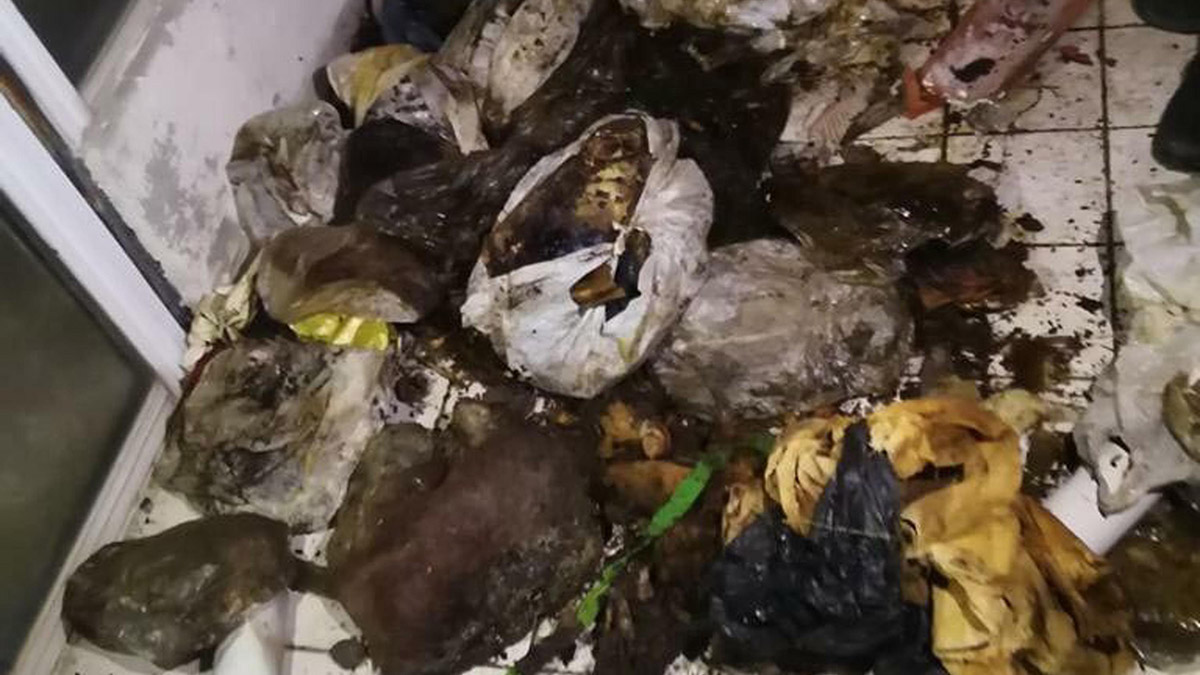 Hikmet amcaya 'Diyojen sendromu' incelemesi