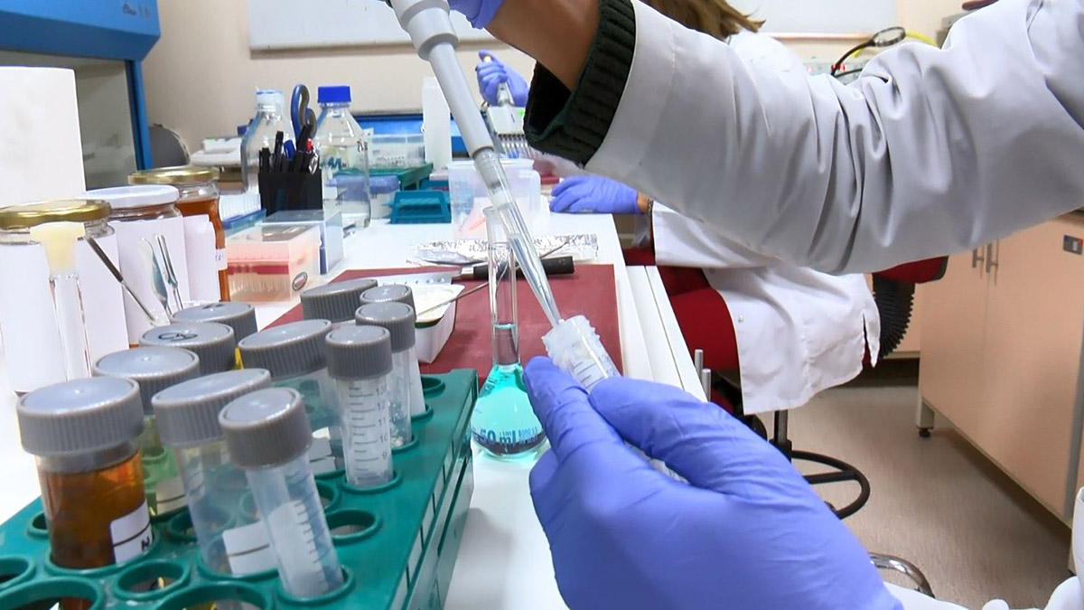 Yılda 5 bin gıda numunesi analiz ediliyor