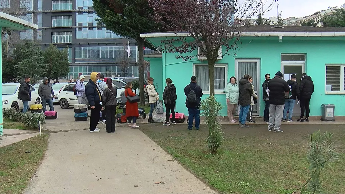 İstanbul i̇l tarım ve orman müdürü ahmet yavuz, "i̇stanbul olarak yaklaşık 220 bin kedi, 103 bin köpeğin çipleme ve kayıt işlemini bitirdik. Yoğun talep var. Son günlerde daha fazla yoğunlaştığı için, mikroçip ve karne ihtiyacı doğduğundan, bazı bölgelerde bitmiş olabilir" diye konuştu.  