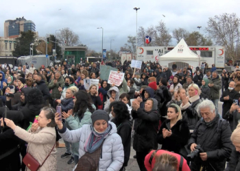 Kadıköy'de hayvana şiddet eylemi