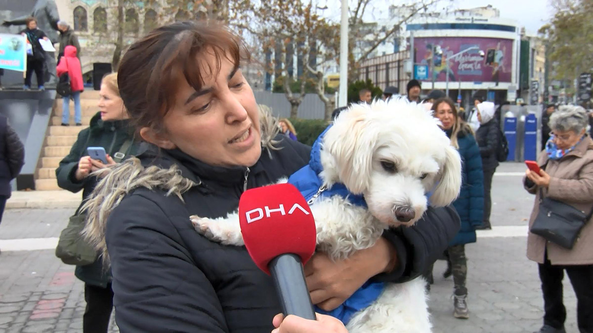 Kadıköy'de hayvana şiddet eylemi