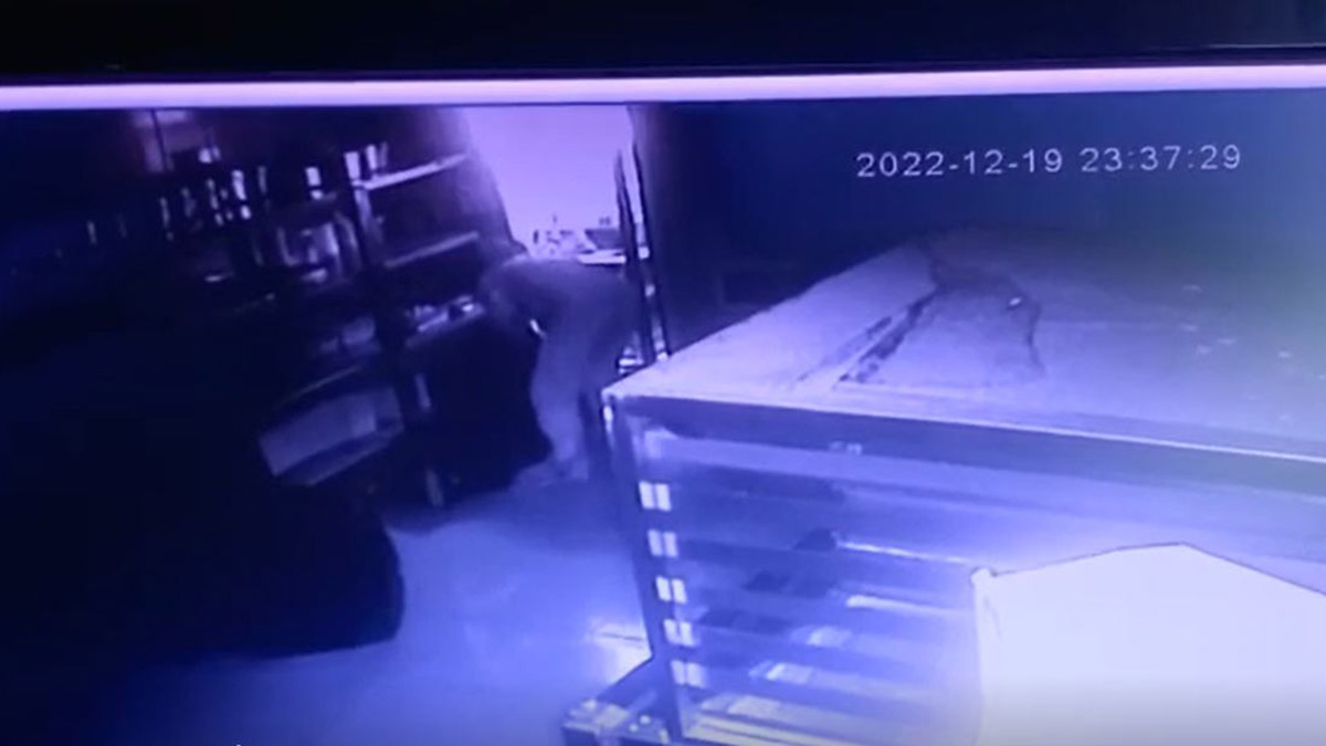 Kafeden 10 bin TL değerinde peynir çaldı