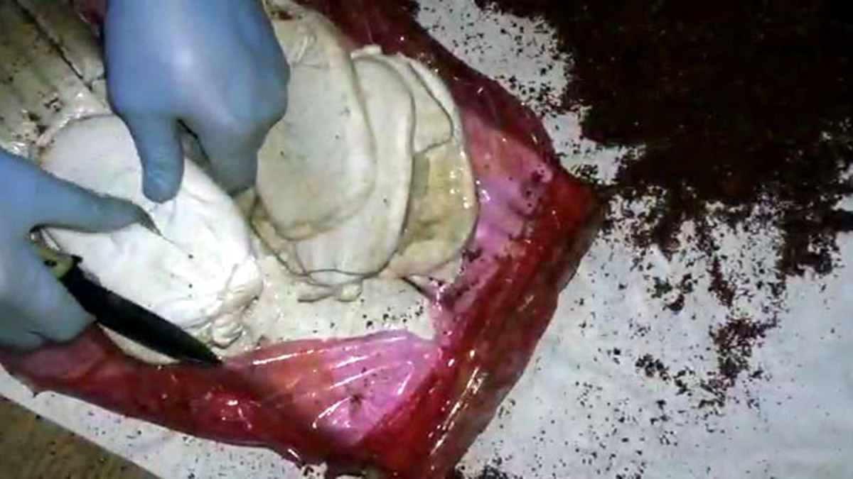 Pul biber ve isot paketlerine gizlenmiş uyuşturucu ele geçirildi