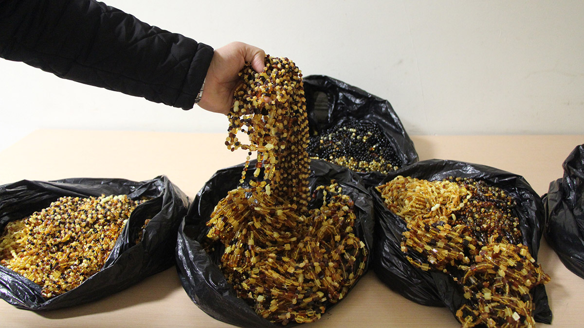 Sınırda, trüf mantarı ile kehribar ele geçirildi