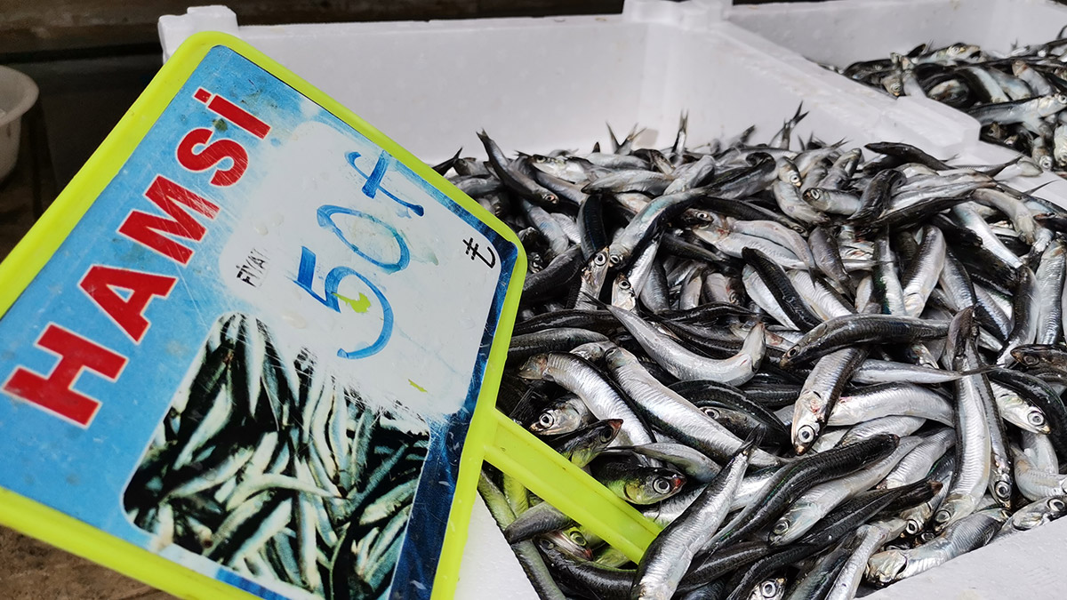 Karadeniz'de av yasağı çağrısı