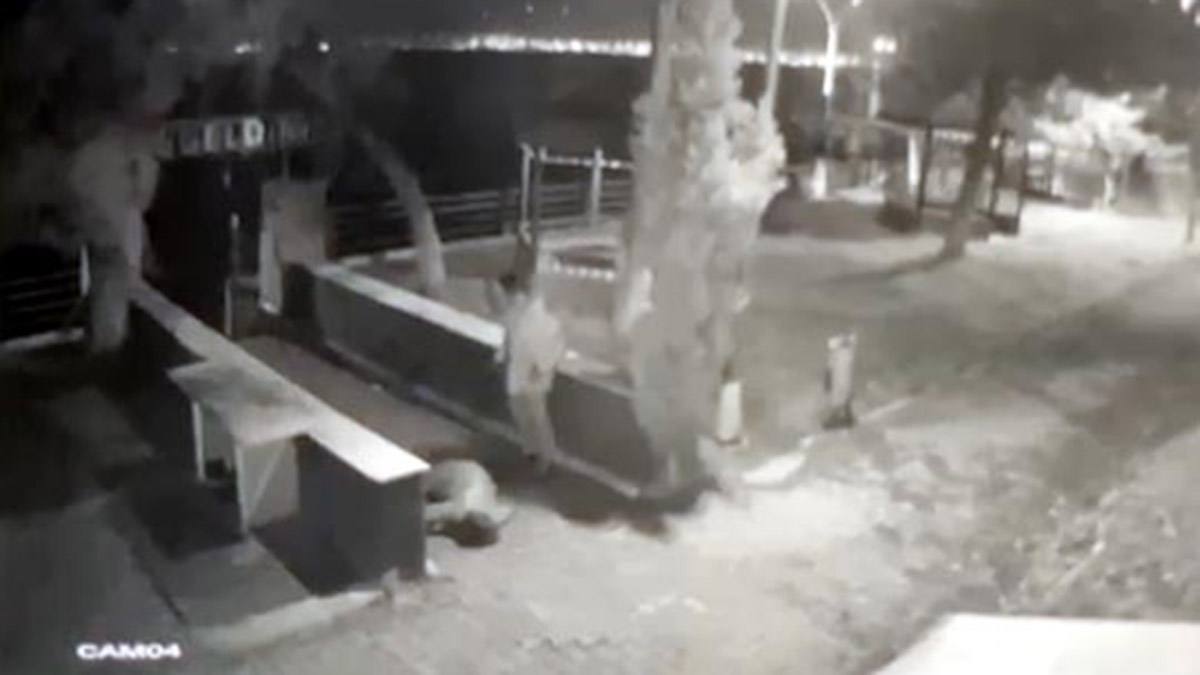 Öldürülen Kıymet'in gözaltındaki eşi tutuklandı