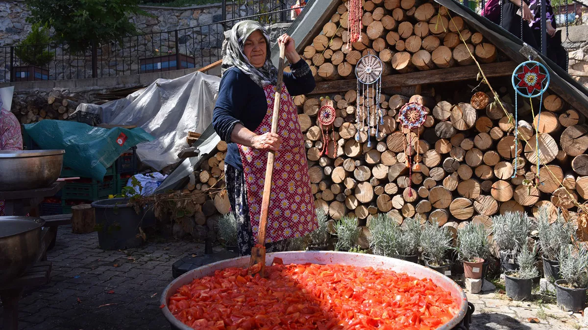 523 kadının kaderi kurdukları kooperatifler sayesinde değişti