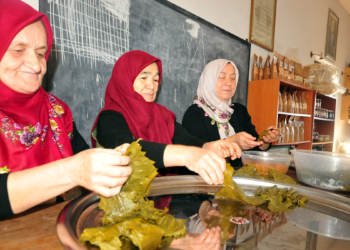 523 kadının kaderi kurdukları kooperatifler sayesinde değişti