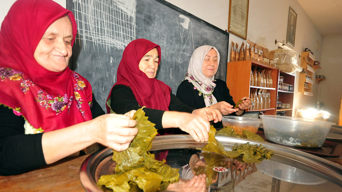 523 kadının kaderi kurdukları kooperatifler sayesinde değişti